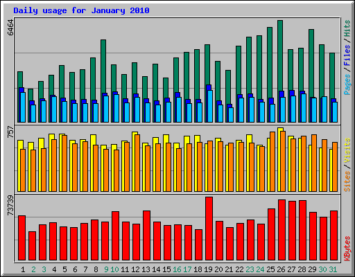 Daily usage for January 2010