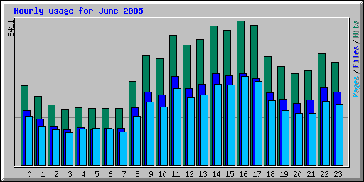 Hourly usage for June 2005