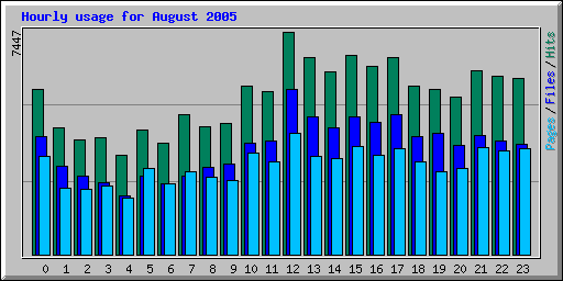 Hourly usage for August 2005
