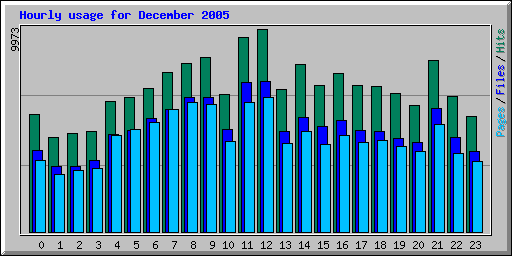 Hourly usage for December 2005