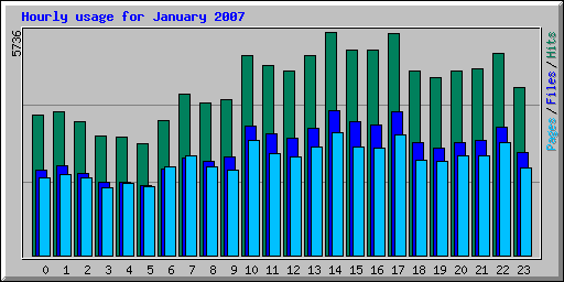 Hourly usage for January 2007