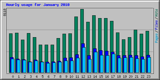 Hourly usage for January 2010